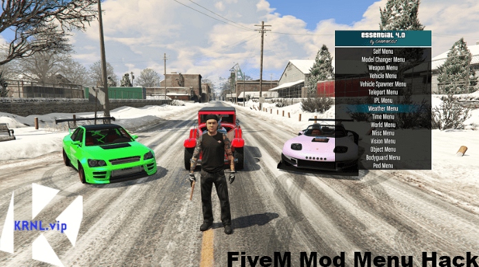 FiveM Mod Menu Hack